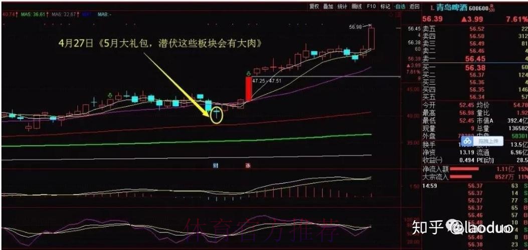 世界杯下注入口最新动态，挖掘潜在盈利机会
